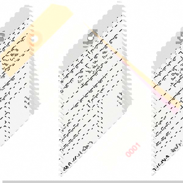 Blank Tag: 6-1/4'' High, Manila & White, Synthetic Paper